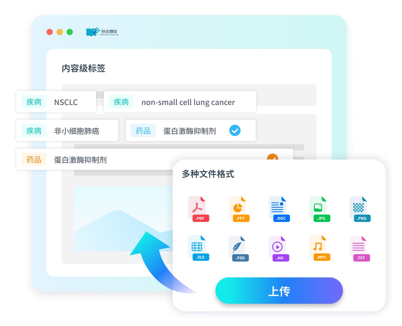 内容级标签